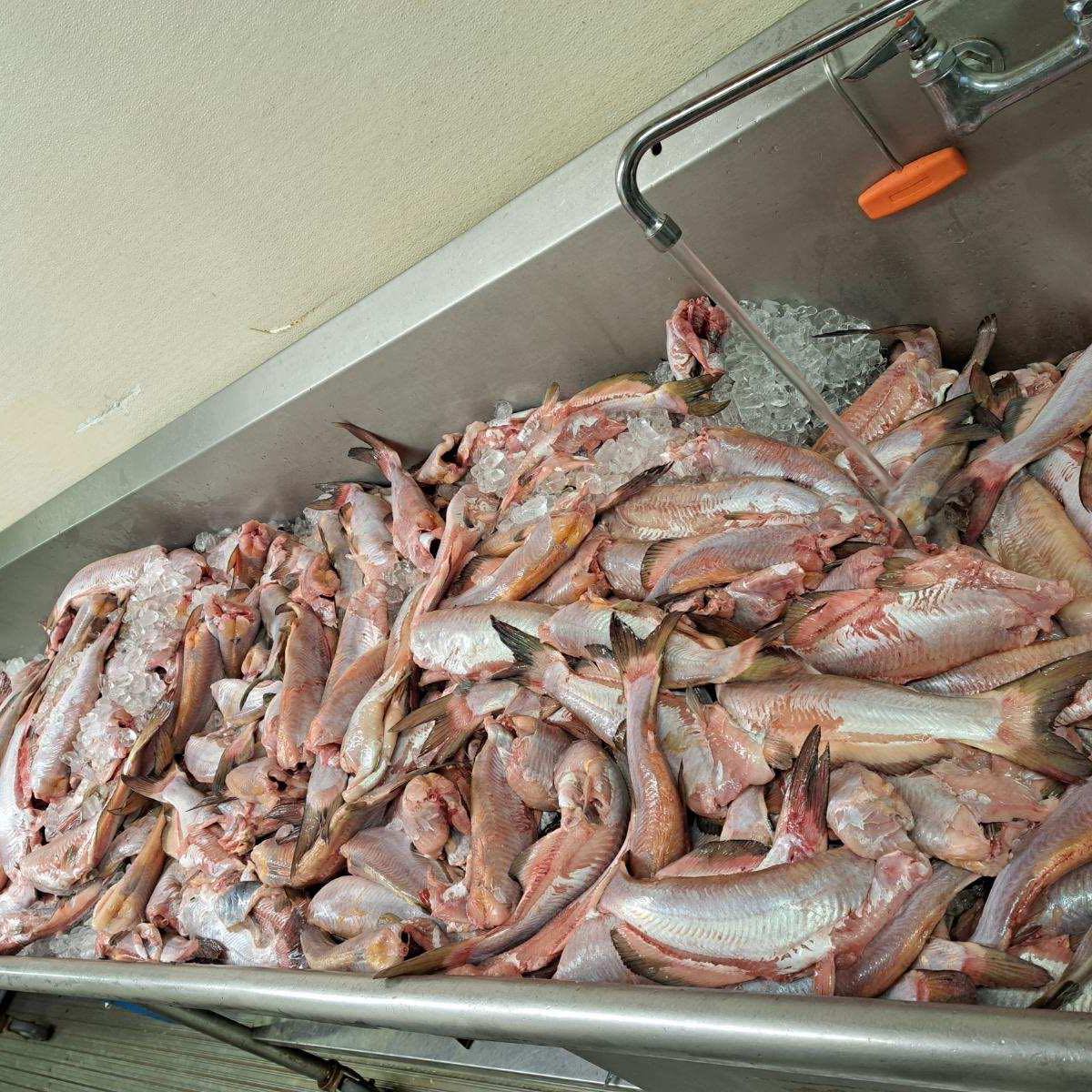 Tri State Fish market | South Pittsburg TN
