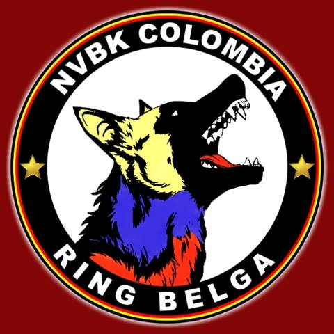 NVBK Colombia - Ring Belga