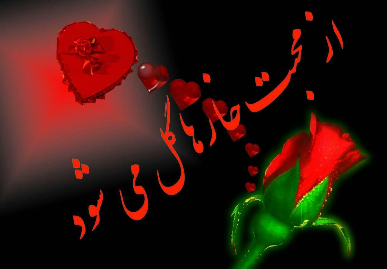 بهترین شعرهای ناب