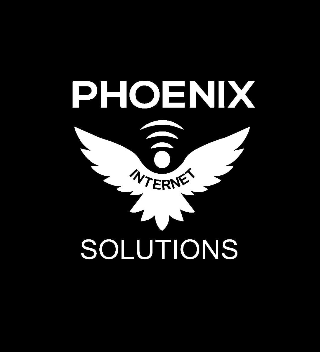 The Phoenix Internet Solutions | Johannesburg Central