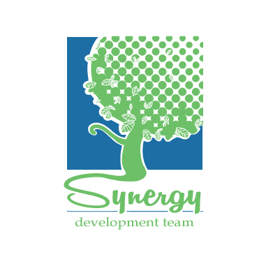 Synergy Development Team | San Diego CA