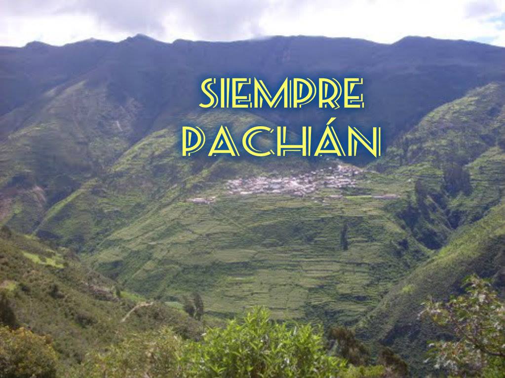 Pachaconas - Photo 4