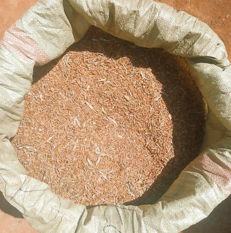 Ochong'a Omena And Feeds Supplies | Nairobi