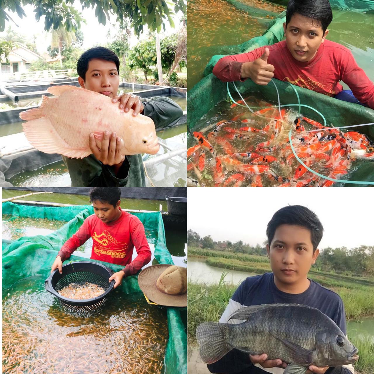Moko Fish Bandar Lampung