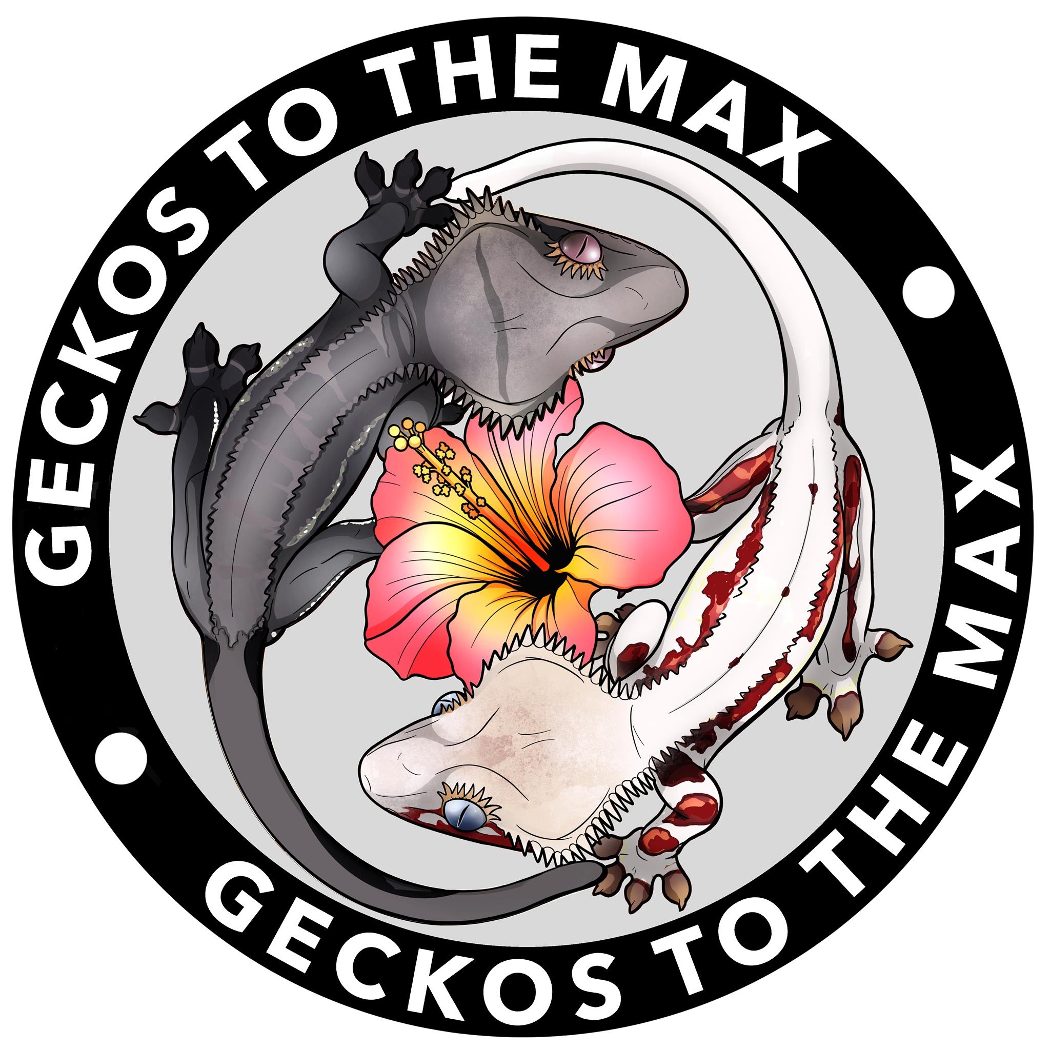 Geckos to the Max | Seattle WA