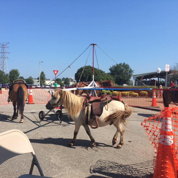 Gee-Haw Pony Rides