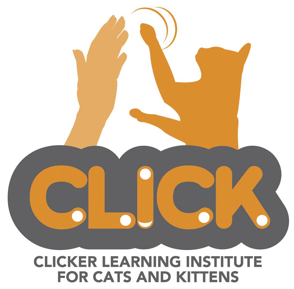 Clicker Learning Institute for Cats and Kittens | Fort Collins CO