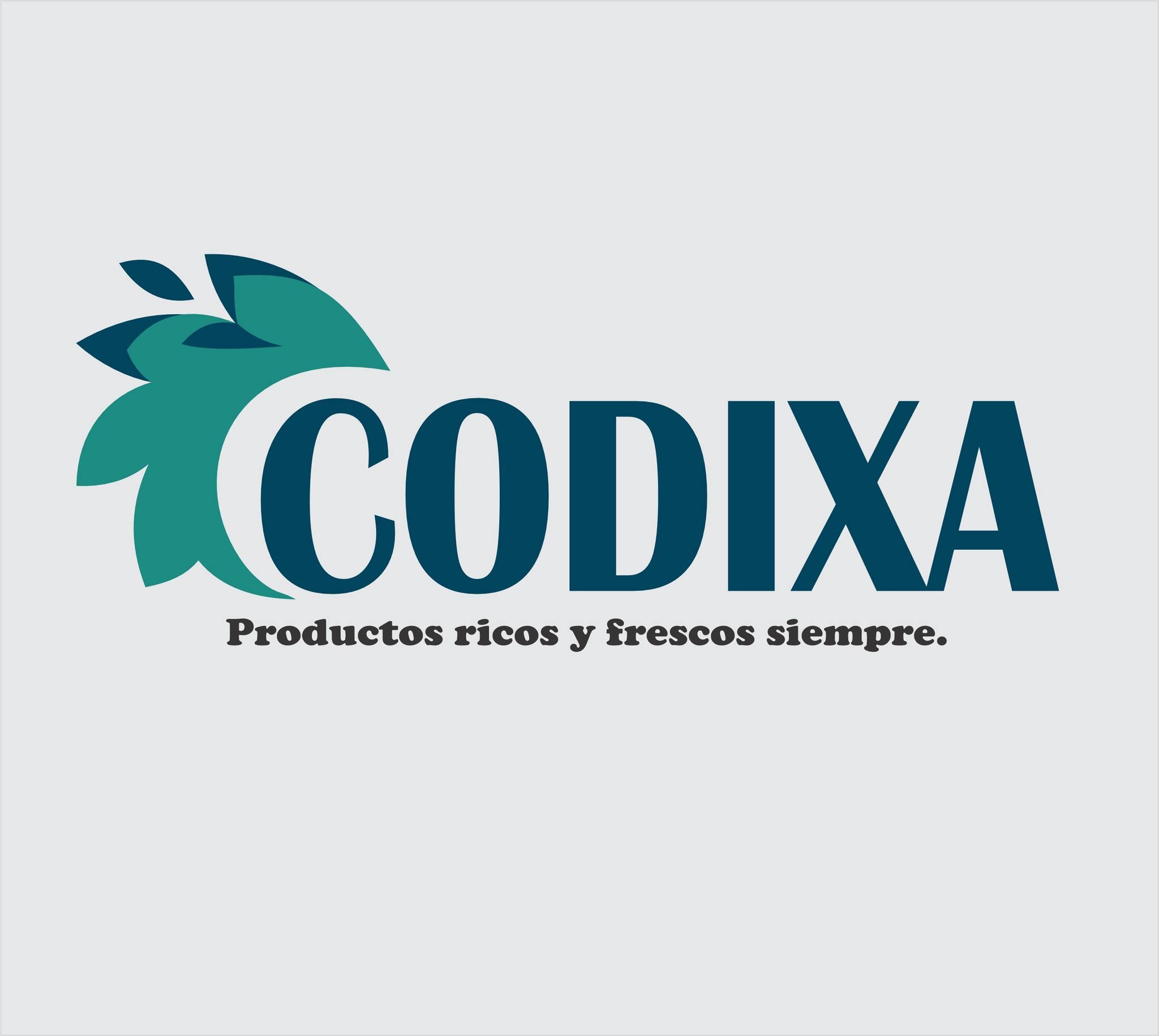 Codixa SAC - Sullana