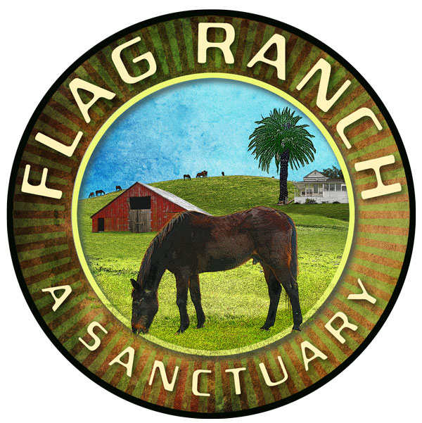 Flag Ranch: Home of The Flag Foundation for Horse/Human Partnership ...