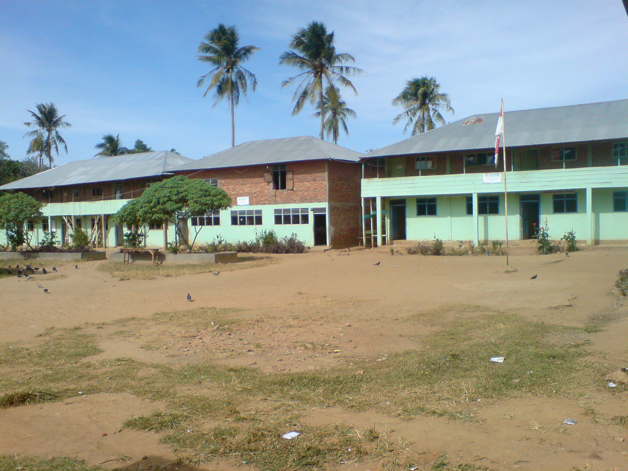 Alimaa Hasibuan