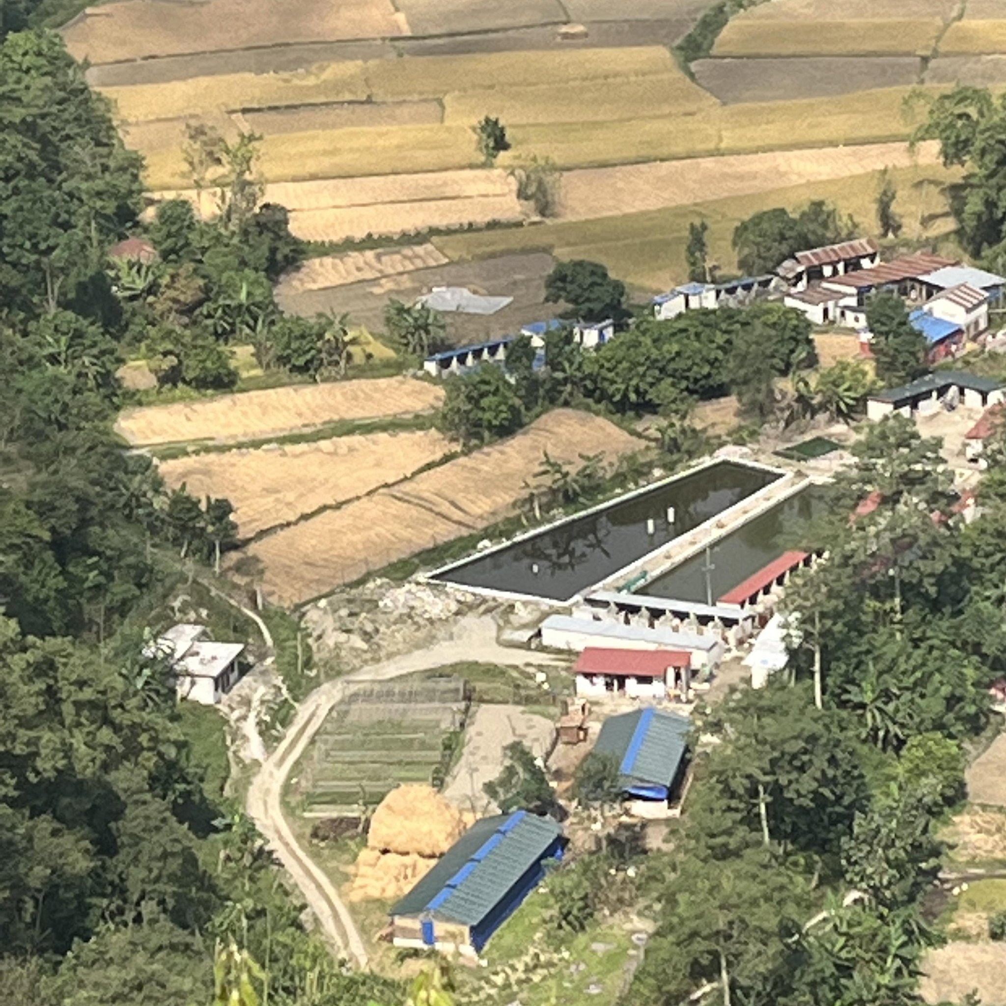 Barahi Multi Agro Pvt. Ltd.