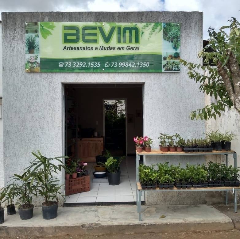 Bevim Mudas e Plantas | Teixeira de Freitas BA