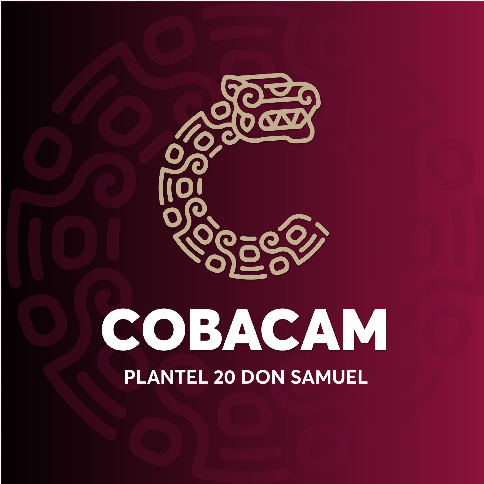COBACAM - Esta mañana la directora general del #COBACAM, Adlemi ...