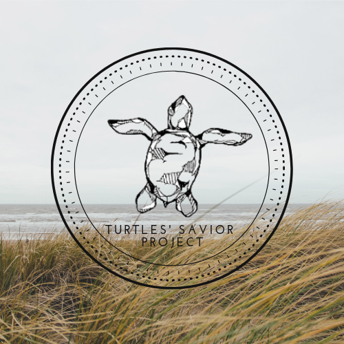 Turtles’ Savior Project
