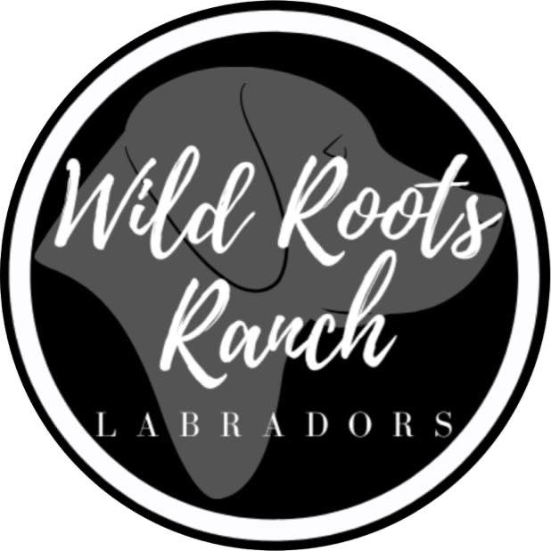 Wild Roots Ranch