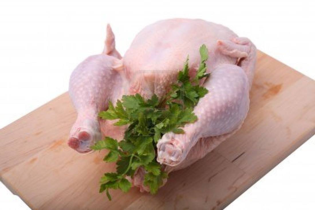 Ayam Rimba