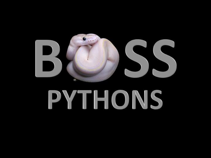 Boss Pythons | Toluca