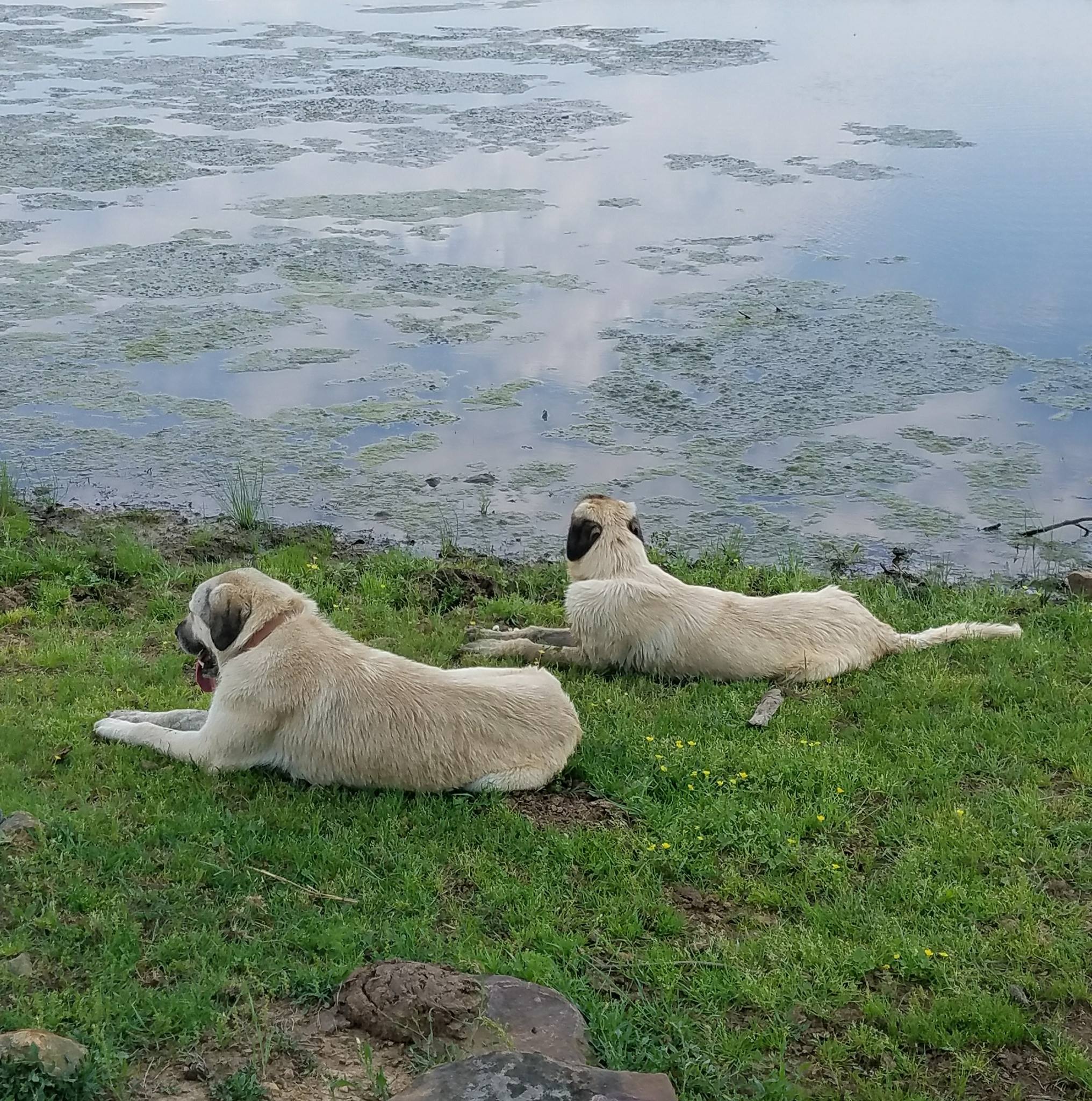 CWC Farm - This drought has made for a devastating year.... | Facebook