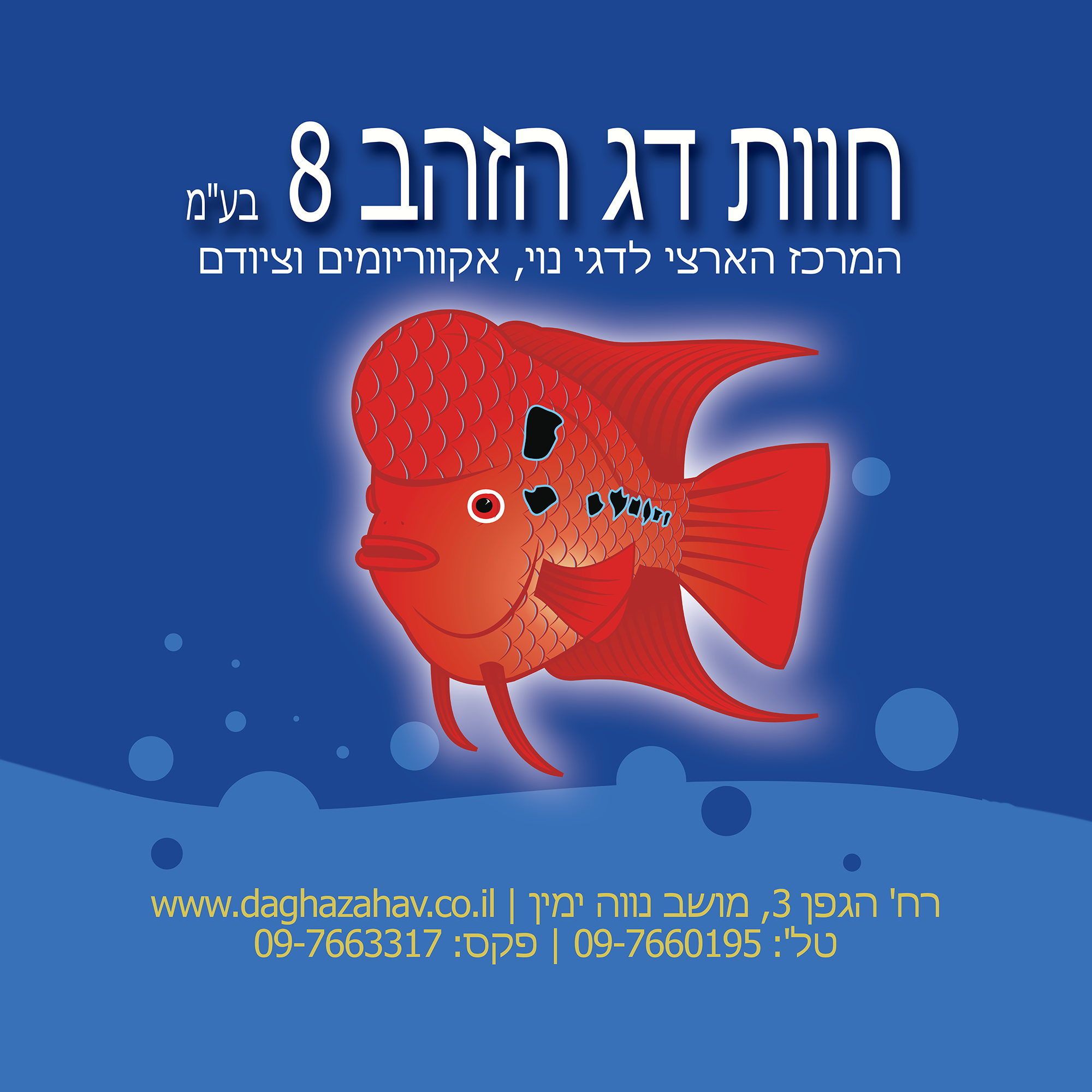 הכירו את הדג שאי אפשר להתעלם ממנו – דג עטלף סיני (Myxocyprinus ...