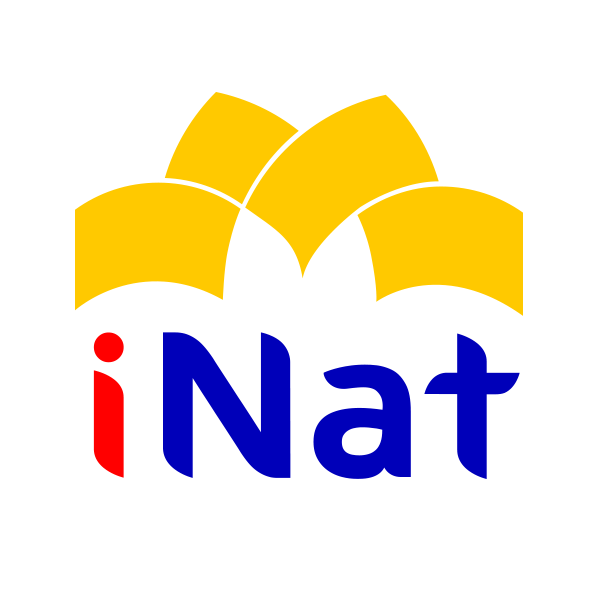 iNat Colombia