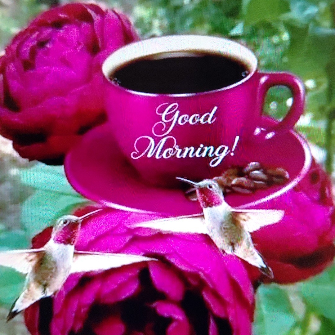 03019195876whatsapp on Reels