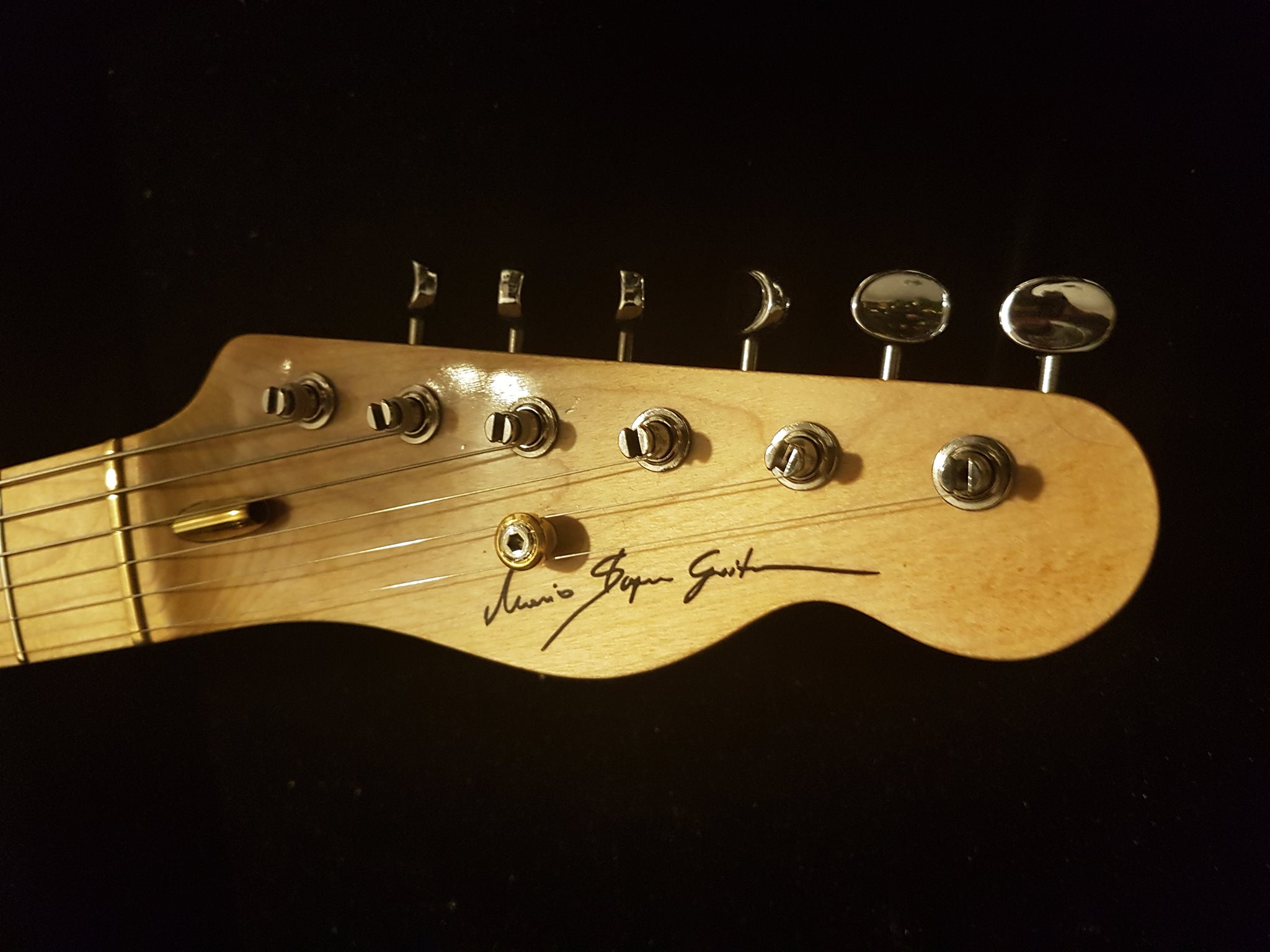 Mario Stopar Guitars