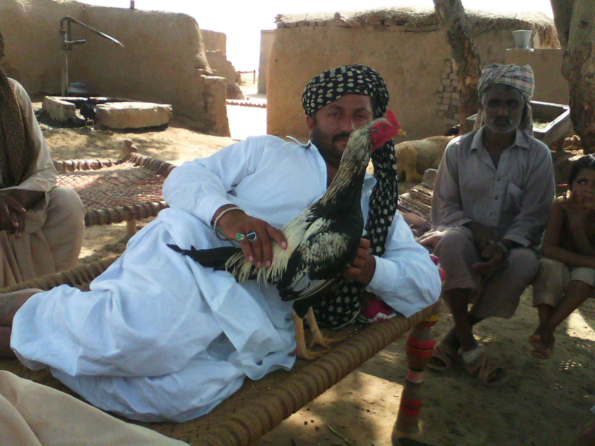 Peer syed Zamin Raza shah