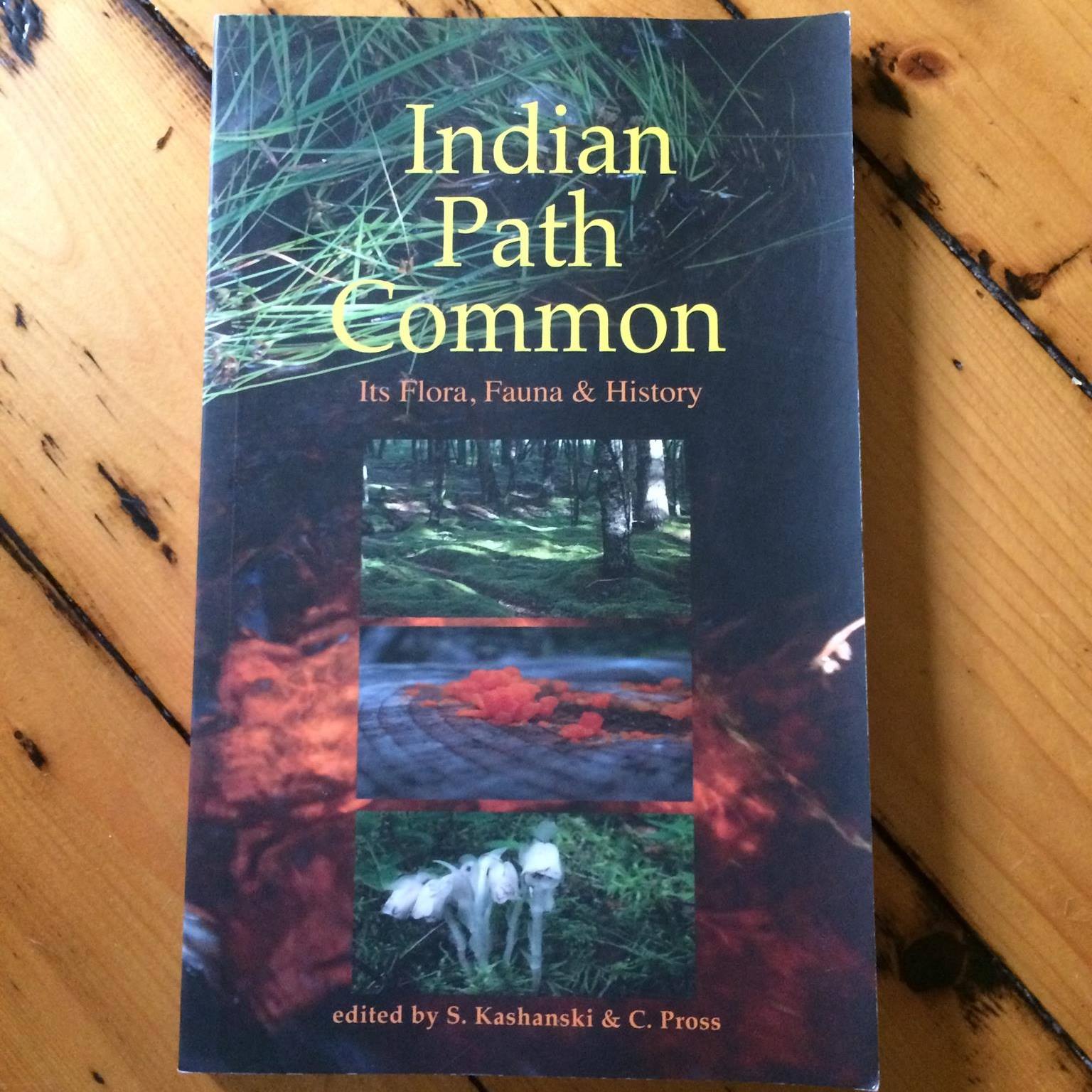 Indian Path Common | Lunenburg NS
