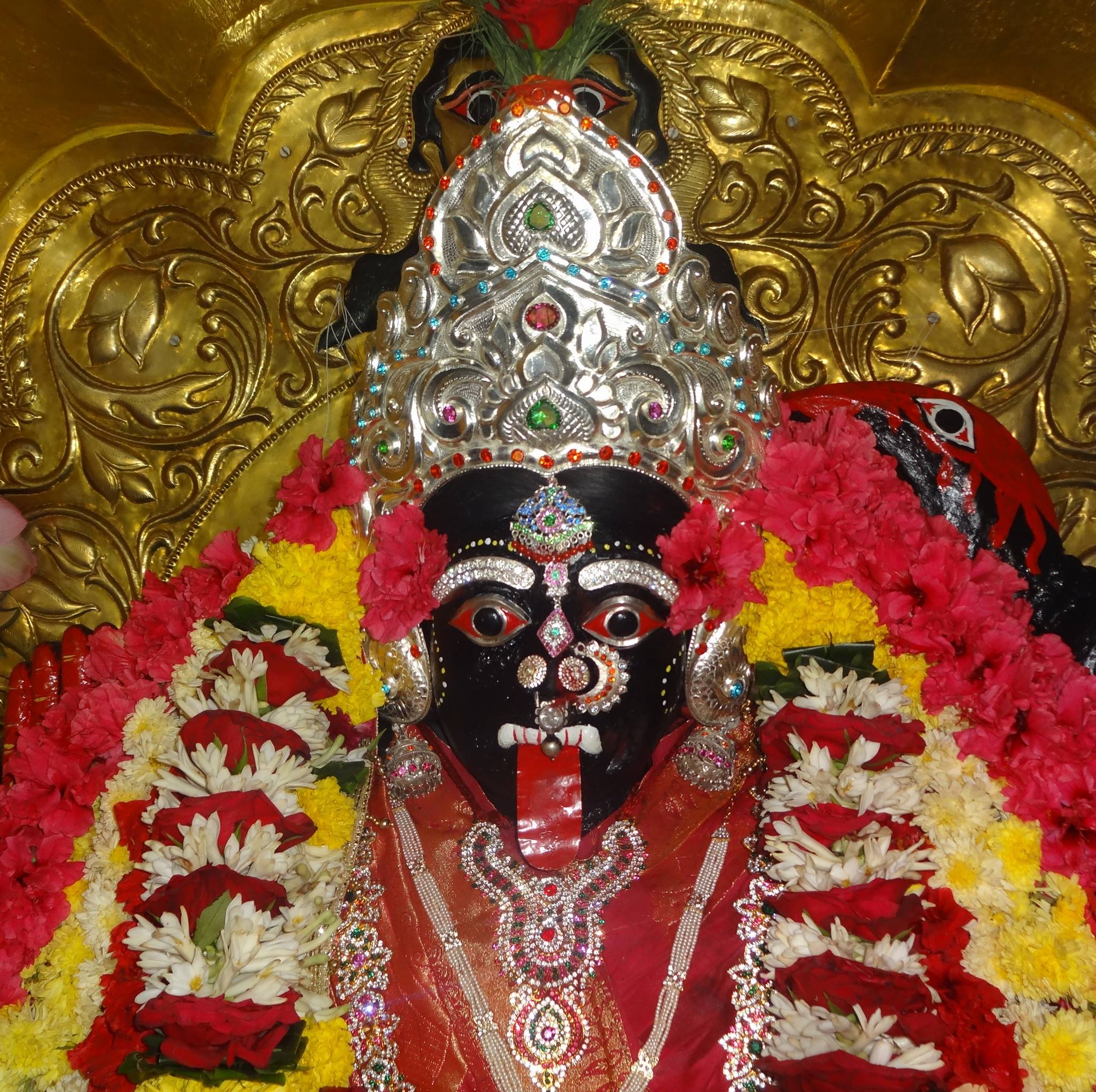 Sri Sri Maa Rudra Dhakinakali Berhampur , Bijipur
