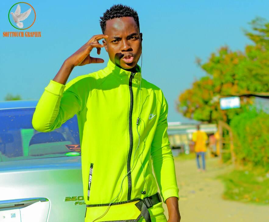ZED top 10 music and artist