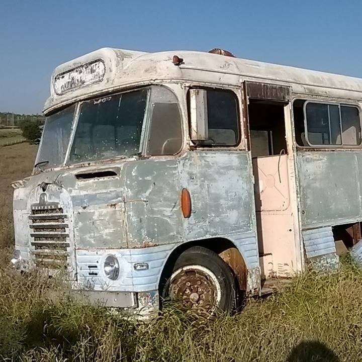 Australian buses in the afterlife - One (1) word we can think of to ...