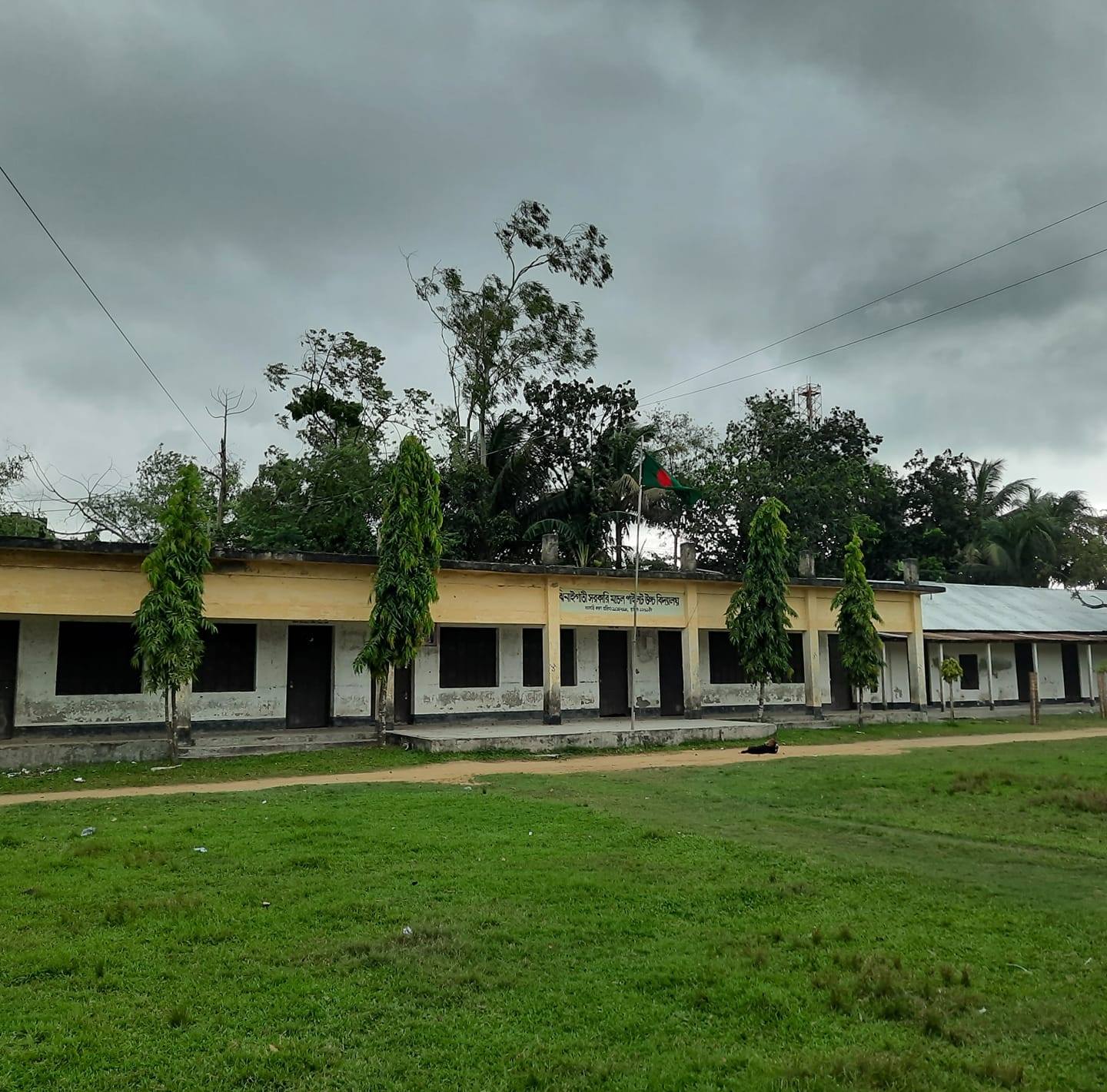 Mamun Ict
