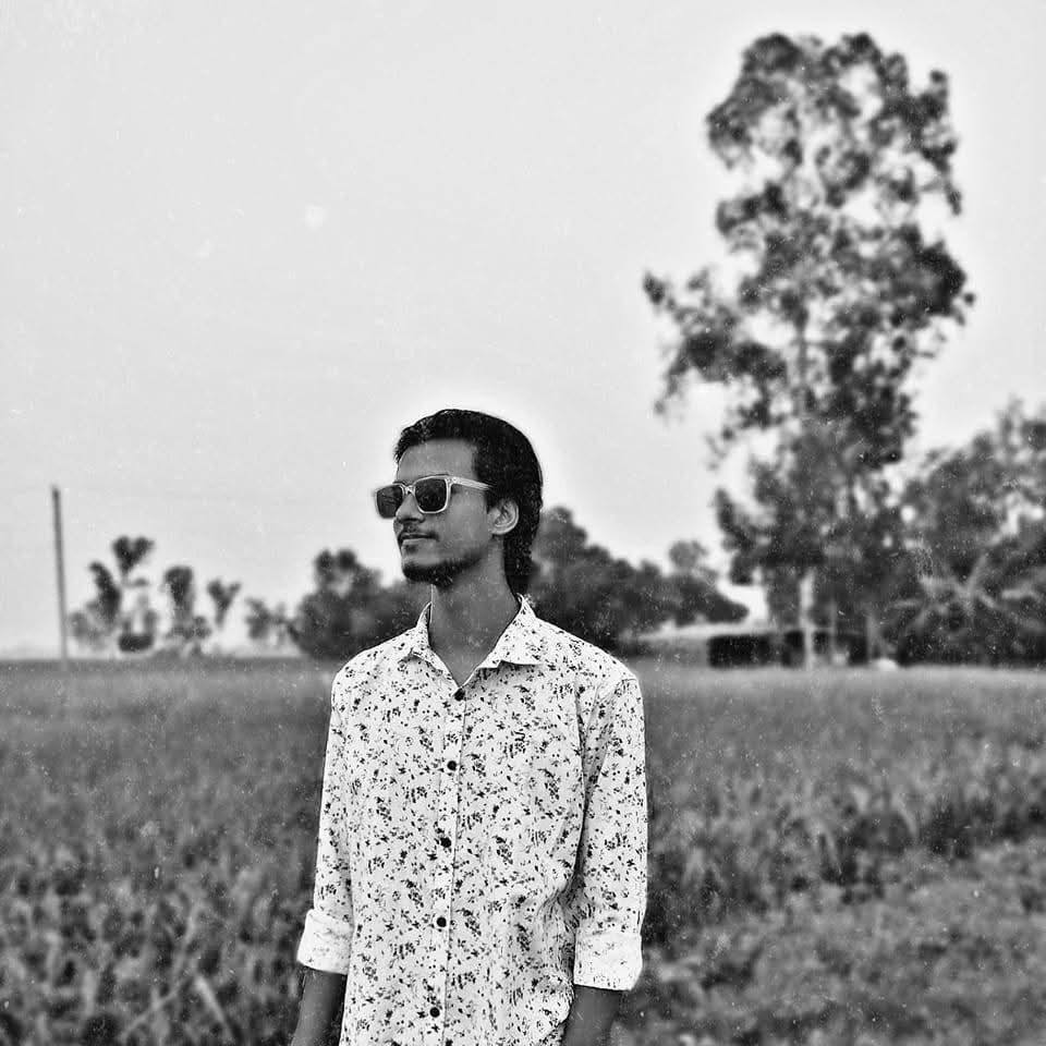 S H E M O L ツ