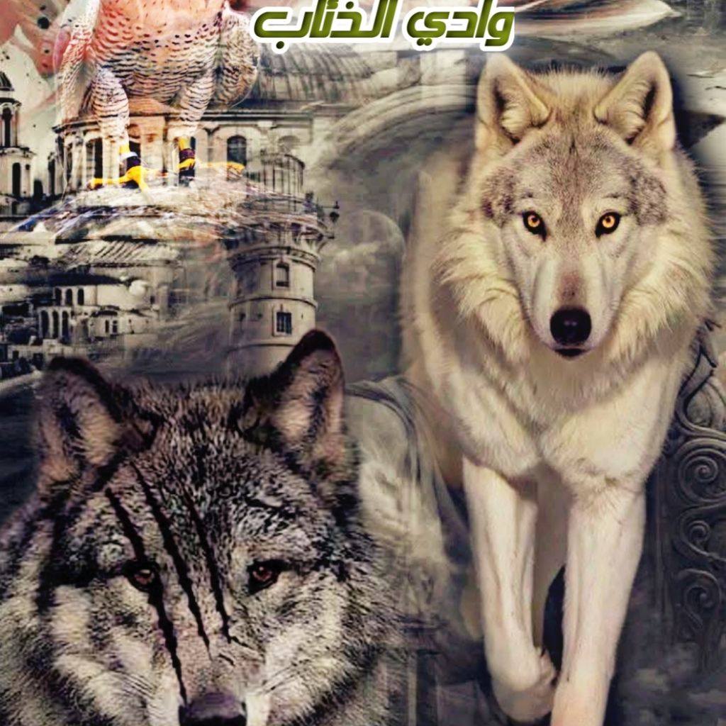 وادي الـذئـاب