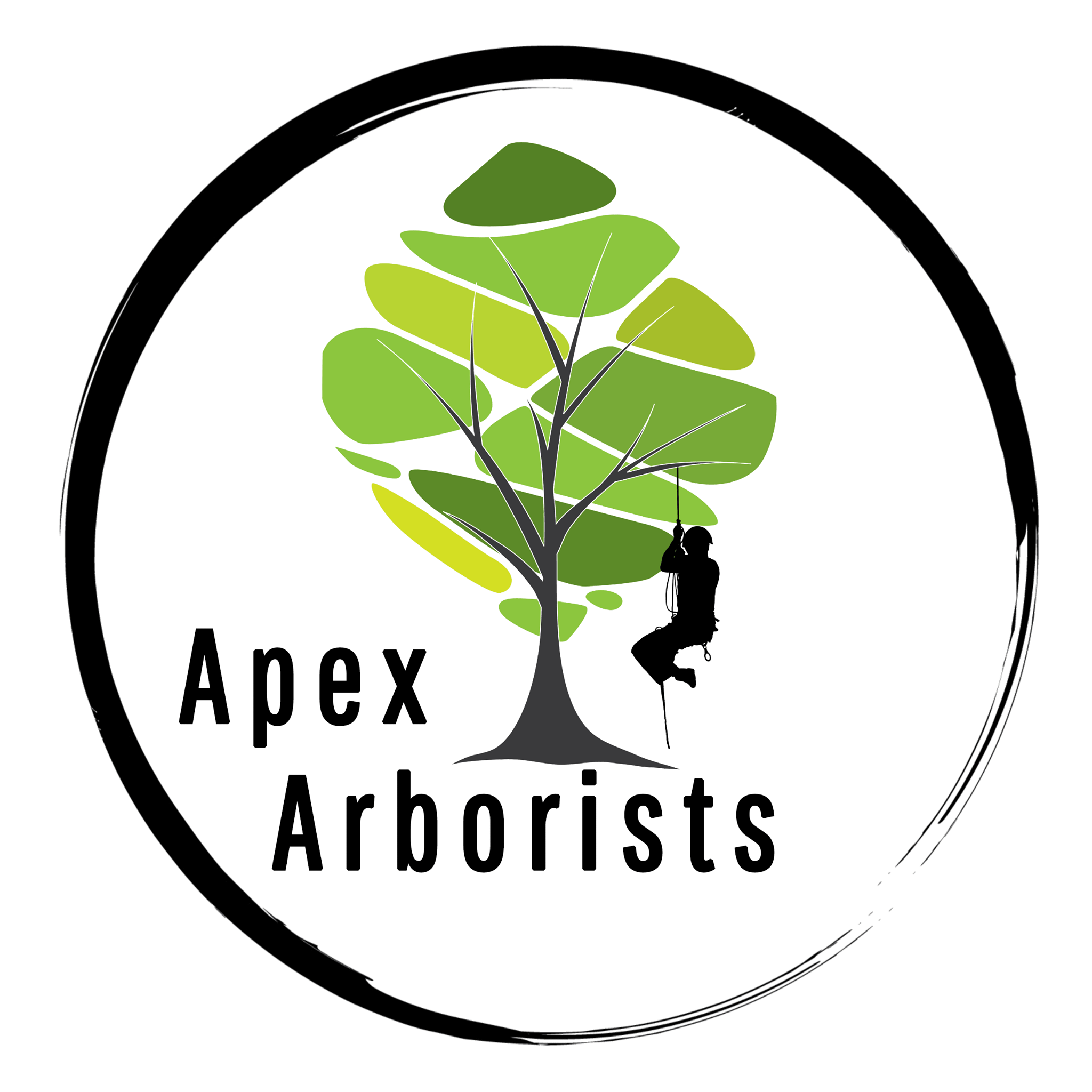Apex Arborists | Hamilton