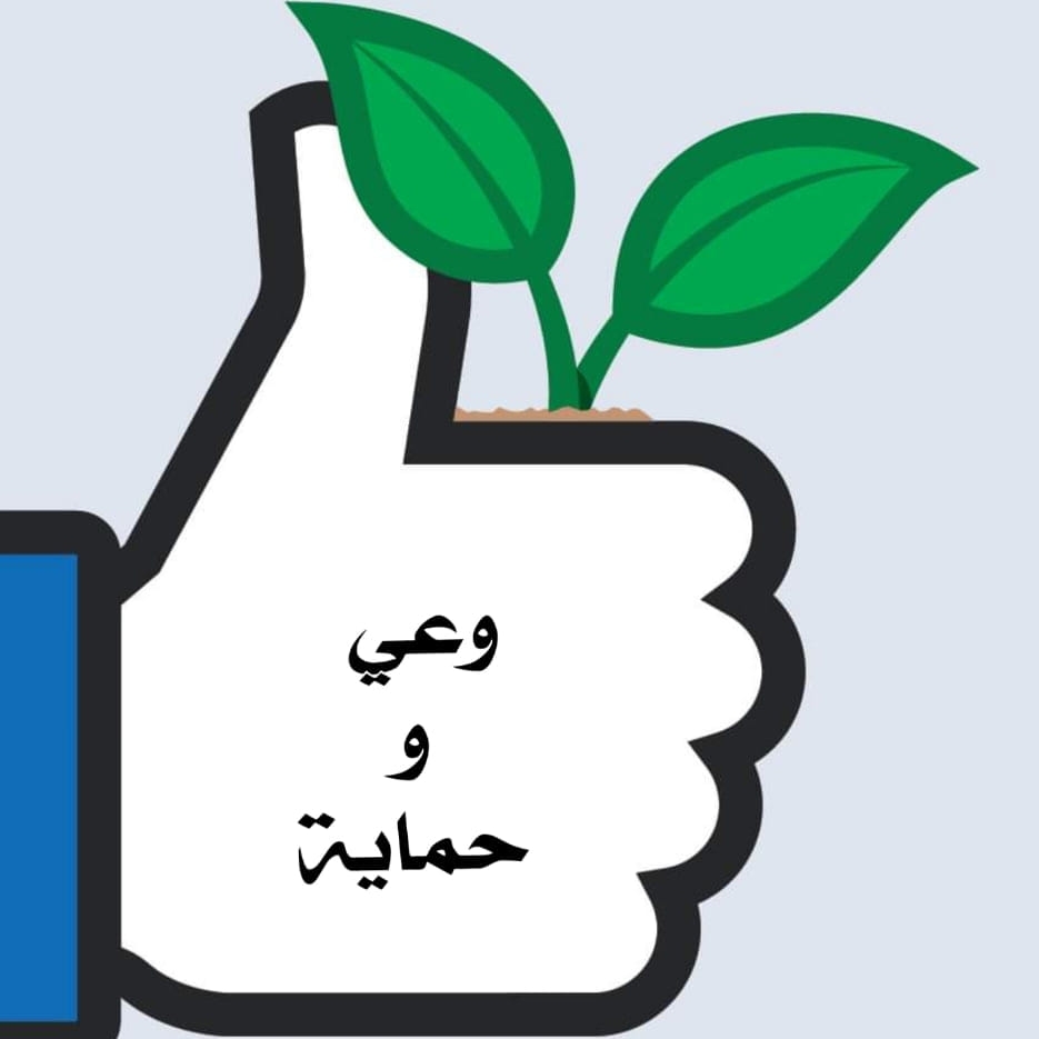 رابسو