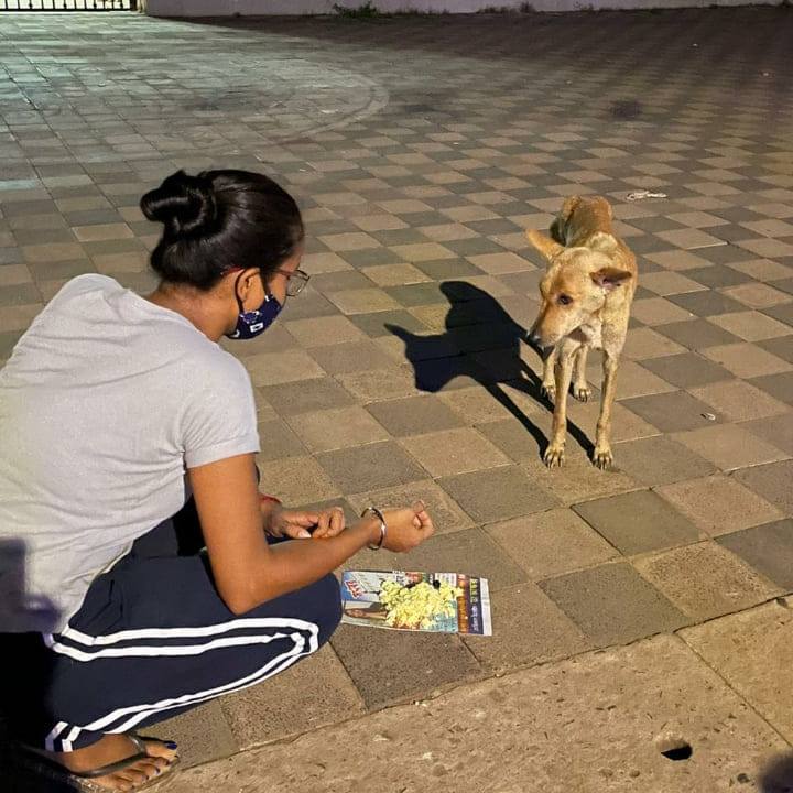 Loveforstrays