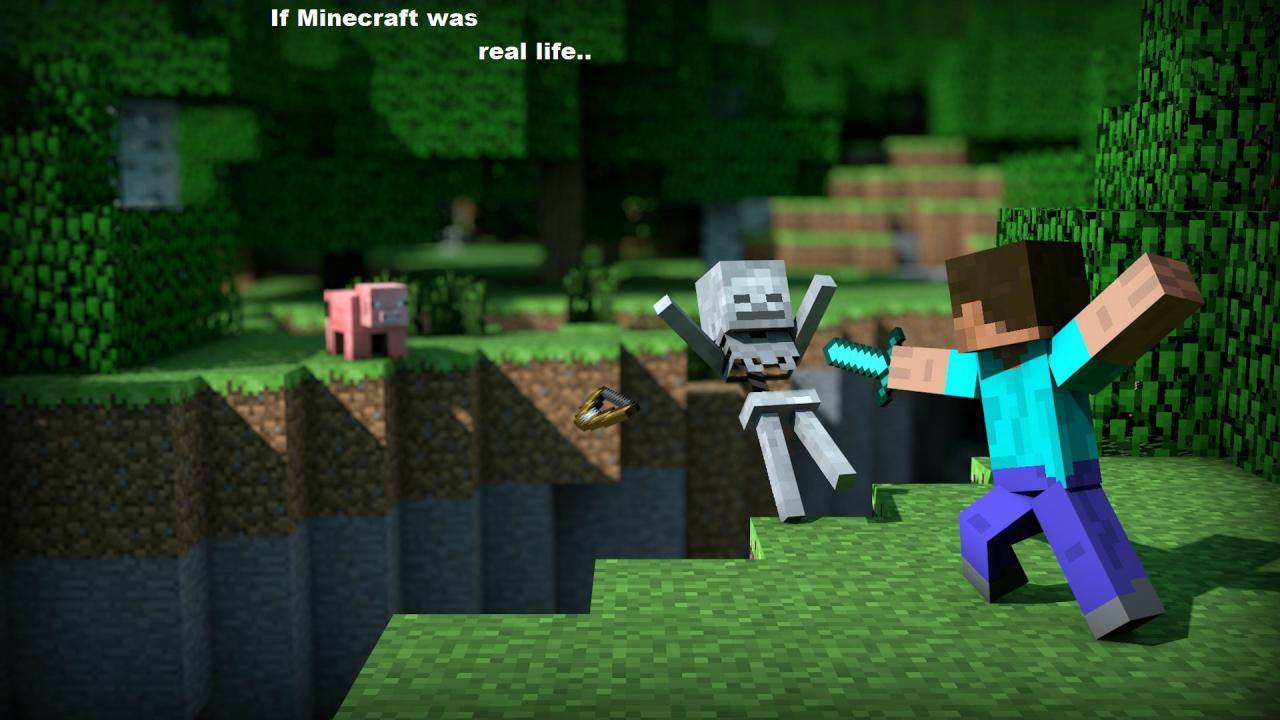 Minecraft Fans