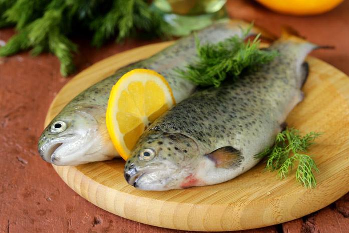 My Fish Forel | Baku