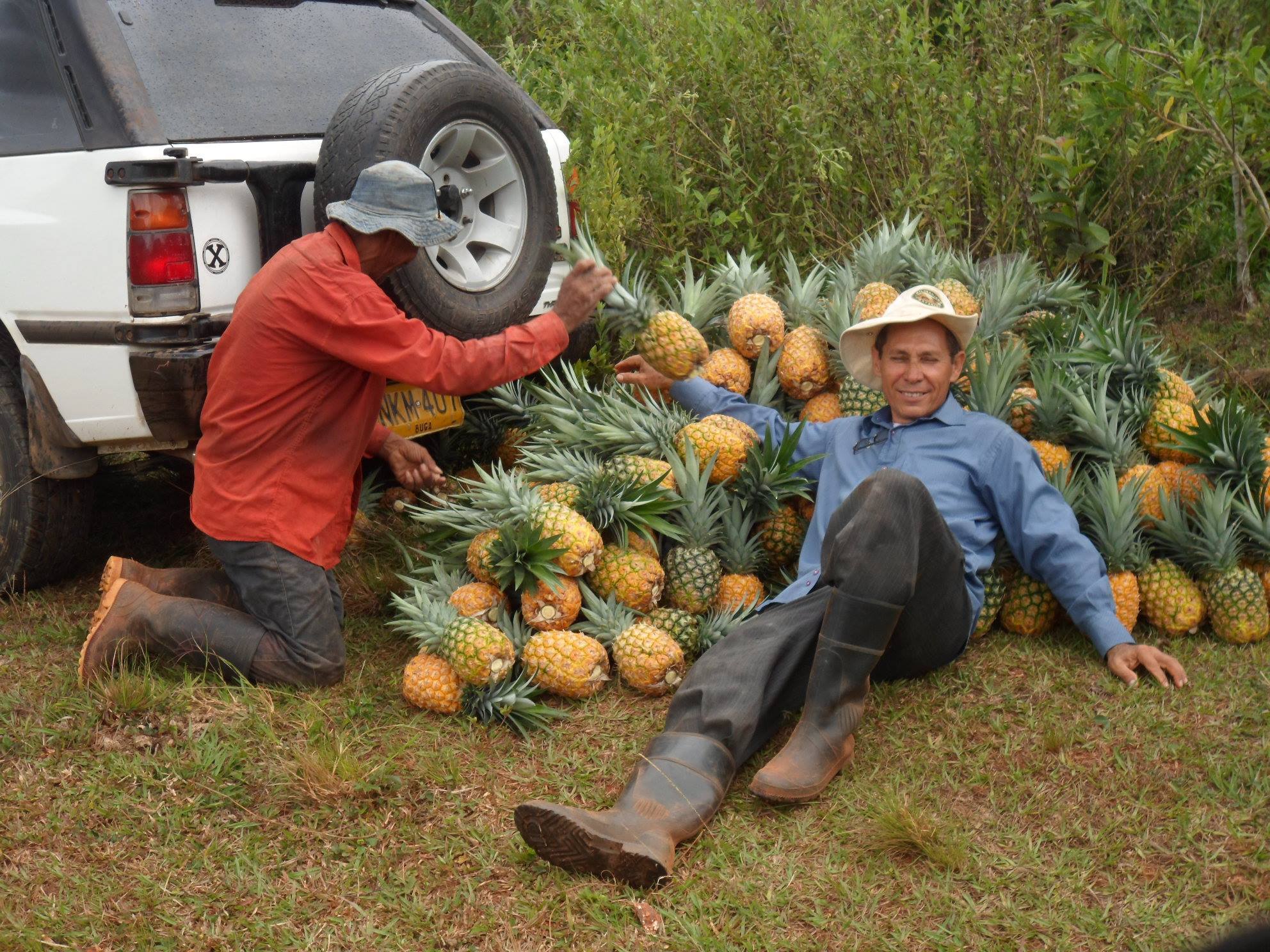 Piña la poderosa