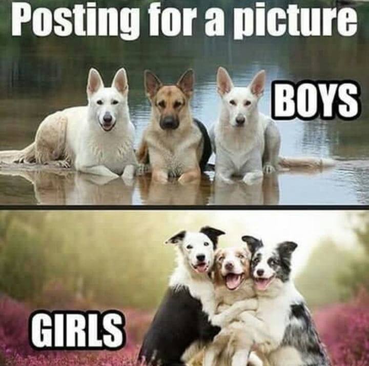 Only memes
