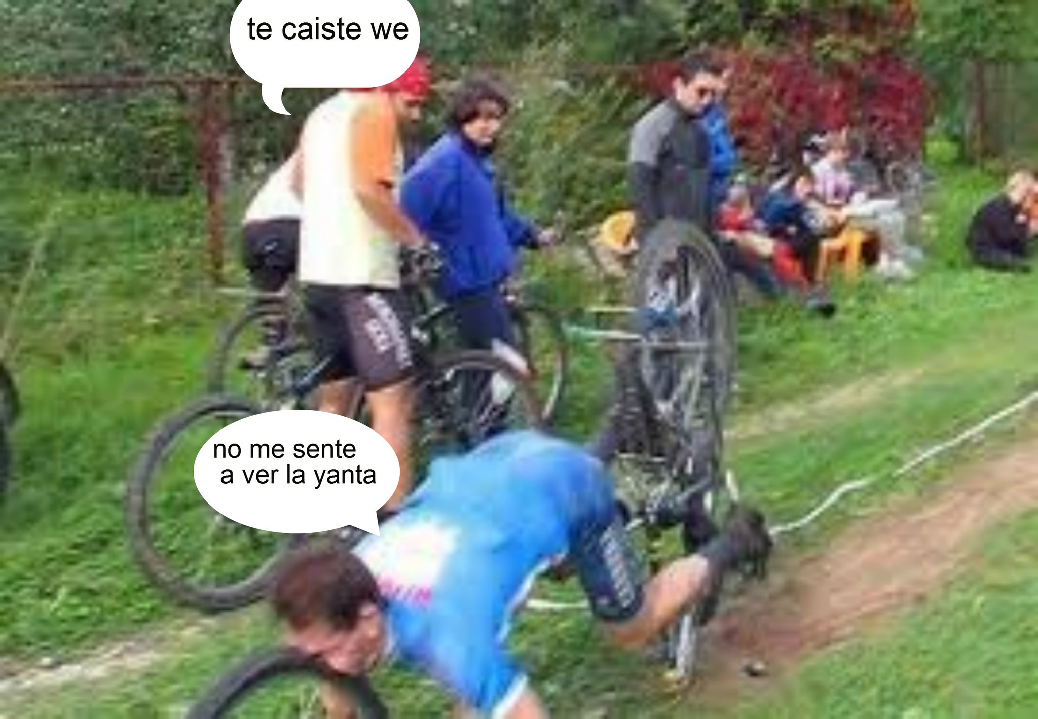 a mi me caga que cuando te cais te disen te caiste no estoy biendo hormigas