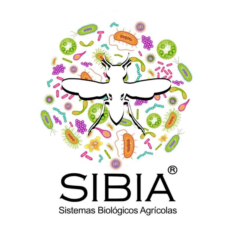 SIBIA | León