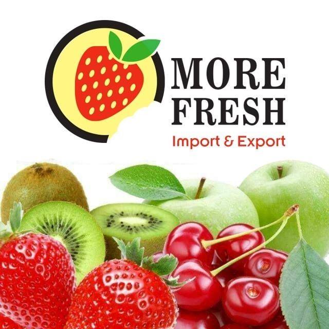 Morefresh Company