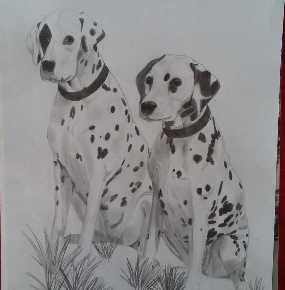 TM Drawing