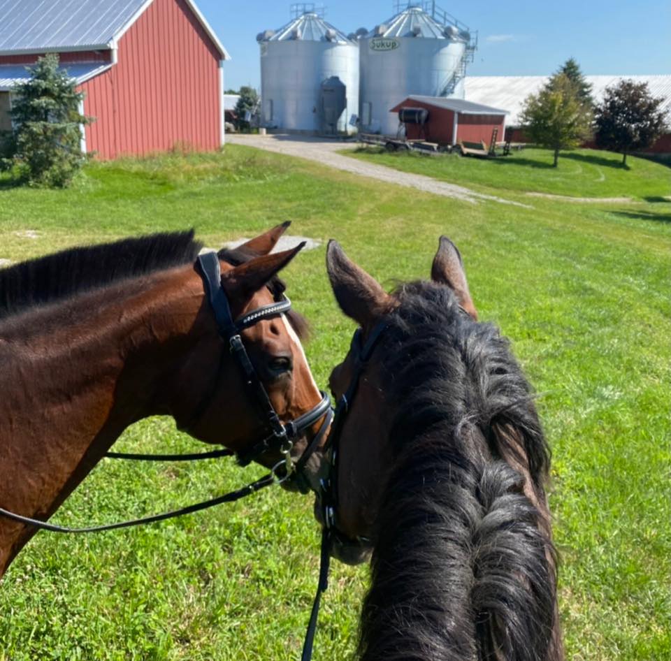 Masterfare Equestrian Center | Johnstown OH