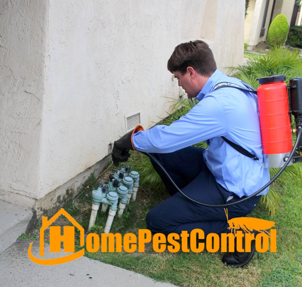Home Pest Control of Jacksonville | Jacksonville FL