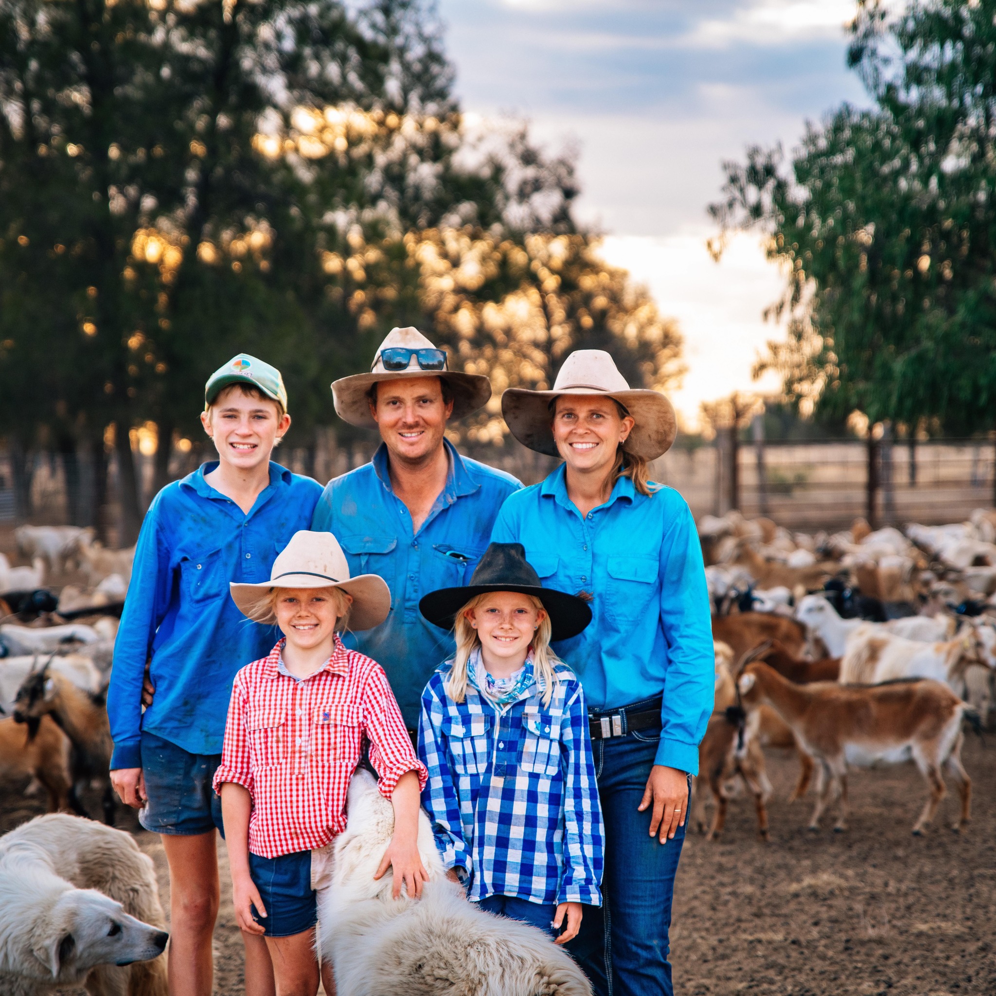 Aliven Farms | Roma QLD