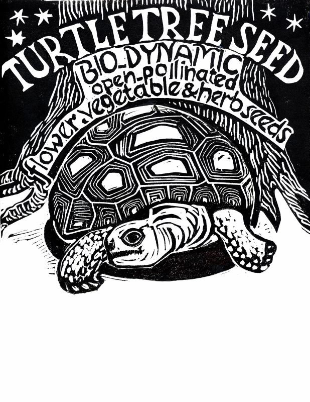 Turtle Tree Seed