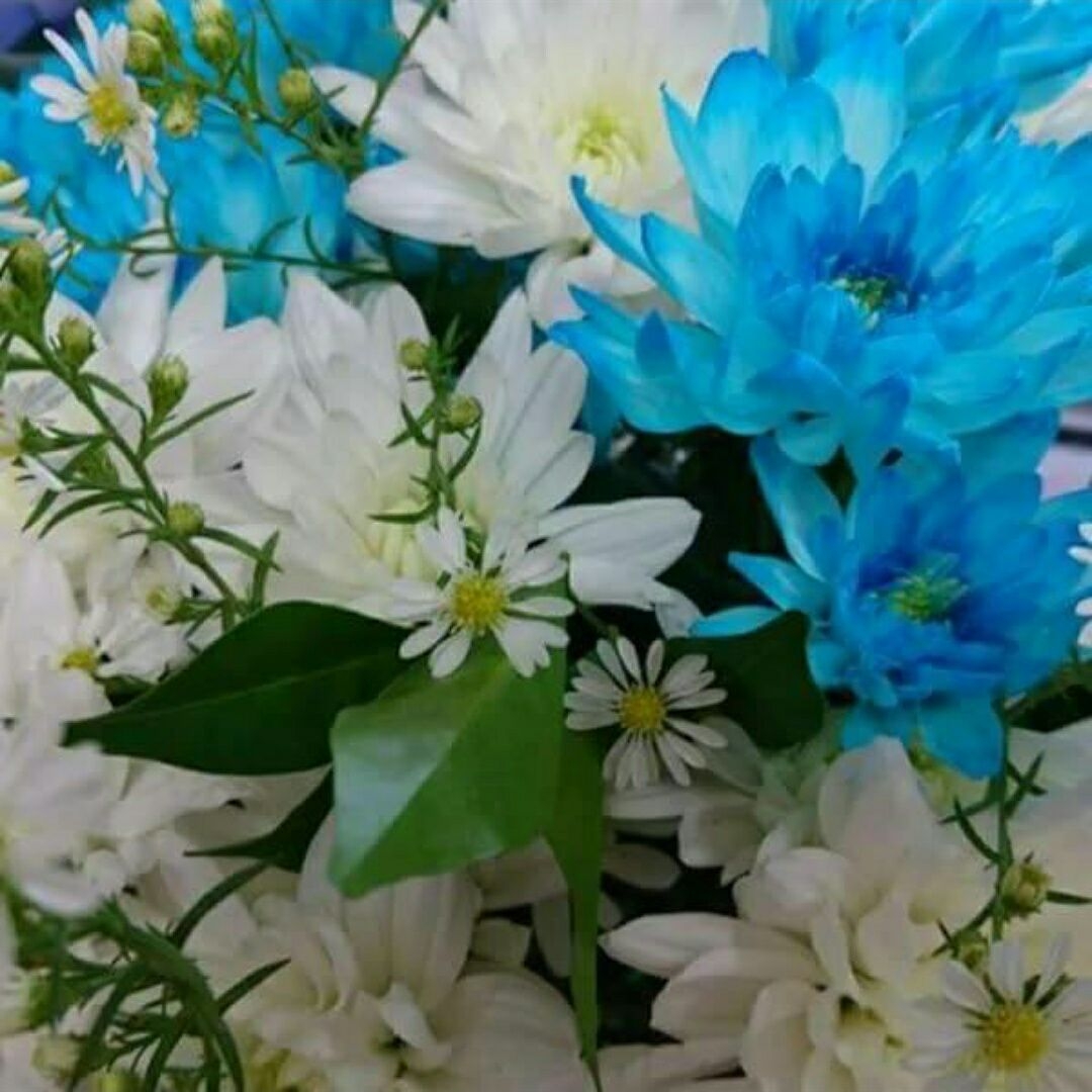 Pink Poppy Florist | Marcoola QLD